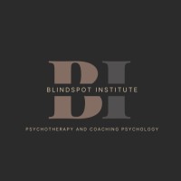 Blindspot Institute logo - Similar company to Do Well Do Good Ltd