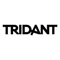 Tridant Pty Ltd logo - Similar company to Gk Horizons