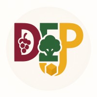 Di Enne Packaging srl logo - Similar company to Combas S.R.L.