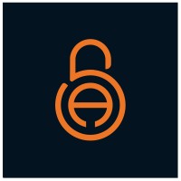 Security Accent GmbH logo - Similar company to Nvt