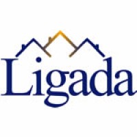 Ligada International Limited logo - Similar company to Rasterbee