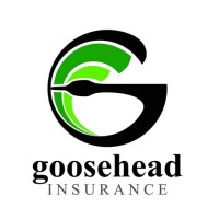 Goosehead Insurance - Bish Insurance Agency logo - Similar company to Bni Chicago