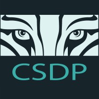 CSDP Corporation logo - Similar company to Csdp Consulting