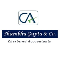 SHAMBHU GUPTA & CO logo - Similar company to Pkj & Co., Chartered Accountants