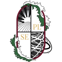 Polska Sieć Ekonomii logo - Similar company to Mt & Strategy