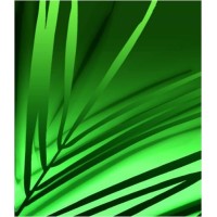 Nova Palm Group logo - Similar company to Omniehub
