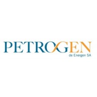 Petrogen logo - Similar company to Petrogen بتروجين