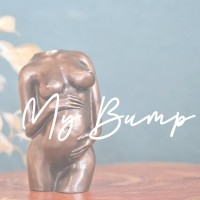 MyBump logo - Similar company to Developmental Cognitive Neuroscience Team