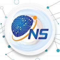 Nepstard Solutions logo - Similar company to Softzilla Solutions
