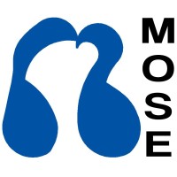 MOSE SERVEIS D'ENGINYERIA SLP logo - Similar company to Mose