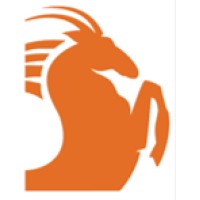 Capricorn Diversified Systems logo - Similar company to Smart Data Services Ltd