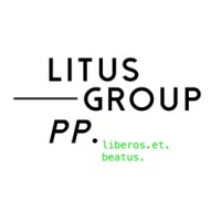 Litus Group logo - Similar company to Ires