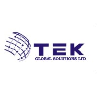 TEK Global Solutions.com logo - Similar company to Why Yall Working? 🎙️