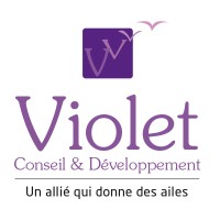 Violet Conseil & Developpement logo - Similar company to Setso Cabinet Conseil En Strategie