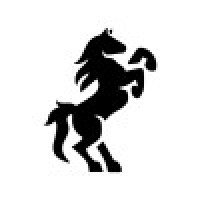 Project Dark Horse logo - Similar company to Wellpcb Tech Co., Ltd.