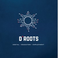 Digital Roots Albania logo - Similar company to Kollabro