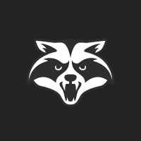 Raccoon Soft logo - Similar company to Stubbsgazette