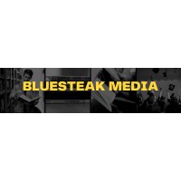 Bluesteak Media logo - Similar company to Bluesteak Systems