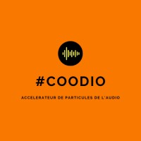COODIO logo - Similar company to Firstattribute Ag