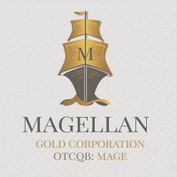 Magellan Gold logo - Similar company to Inside Consultoria Científica
