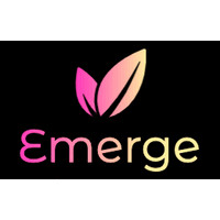 Emerge Consulting logo - Similar company to Line Partners
