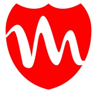 Macksofy Technologies Pvt Ltd logo - Similar company to Astra Cybertech