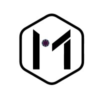MosaicMind Solutions logo - Similar company to Devoxyme