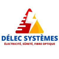 DELEC SYSTEMES logo - Similar company to Evicom Sas