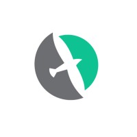 StormBirds logo - Similar company to Future Swirl