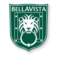 BELLAVISTA logo - Similar company to International Alliance For Pediatric Stroke