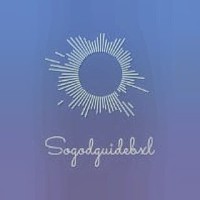 Sogodguidebxl logo - Similar company to Dmc Poland