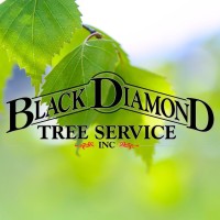 Black Diamond Tree Service, Inc. logo - Similar company to Ryan'S Tree Service