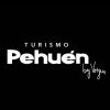 Turismo Pehuén by Voigue logo - Similar company to Set Global Logistics & Forwarding
