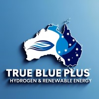 True Blue Plus logo - Similar company to Avalio