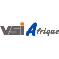 VSi Afrique logo - Similar company to Abc Sodimel