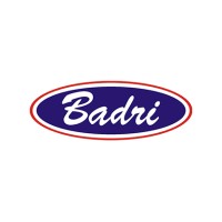 Badri Computers logo - Similar company to Sunmoon Computers