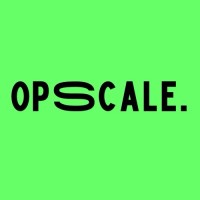 OpScale logo - Similar company to Beevibe