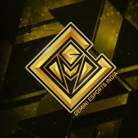 Gemini Esports India Pvt.Ltd logo - Similar company to Ebullient Gaming India