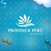 PRODIMER PERÚ logo - Similar company to Jaicoscorp