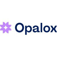 Opalox logo - Similar company to Medi Fly