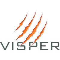 Visper Financial Group logo - Similar company to Maxxia Uk