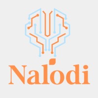 Nalodi logo - Similar company to Inntelex Llc