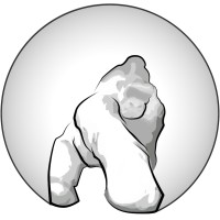 Imagine Ape Studios