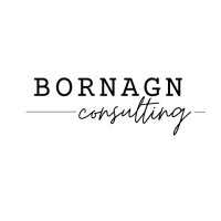 BornAgn Consulting, llc logo - Similar company to Helo