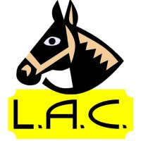 LAC Lavanderia logo - Similar company to Mekatronix Srl
