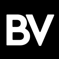 BlendVision logo - Similar company to Ebutech