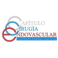 Capítulo Cirugía Endovascular logo - Similar company to Peo - App. Your Personal Education Organizer