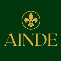 AINDE  Conexión Inmobiliaria logo - Similar company to Cerramientos Integrales