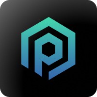 Prompt logo - Similar company to 29Data Consulting