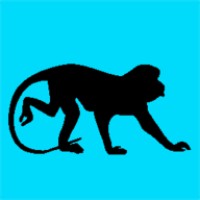Digital Monkey